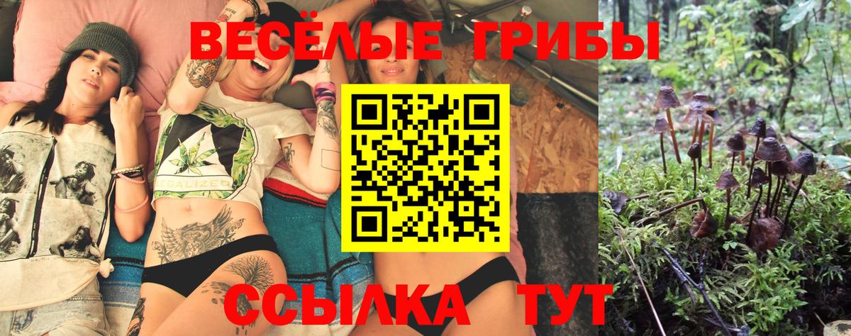 Галлюциногенные грибы ЛСД  Псилоцибиновые грибы GOLDEN TEACHER  Вход с VPN  Севастополь 